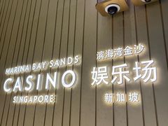 -滨海湾金沙购物商场