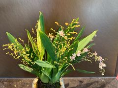 -清真·鸦儿李记·涮肉(月坛店)