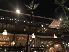 -Coco Tam’s