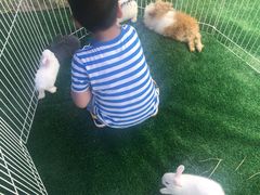 -季高兔窝窝亲子园(上海薰衣草公园店)