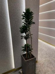 点击看大图 -3AM·S HAIR SALON烫发染发接发