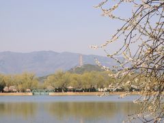 -颐和园