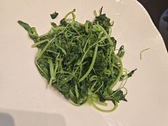 -润苑·悦椿轩(徐汇万科中心一期店)