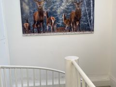 -DK45丹麦家居生活馆·依诺维绅(798店)