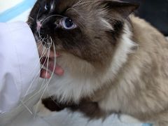 -美美宠物诊疗中心·异宠·骨科(滨江东信分院)