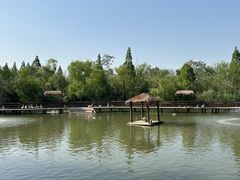 -溱湖国家湿地公园