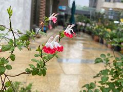 -小芙蓉湘菜馆(易生活购物公园店)