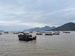 -小皓村