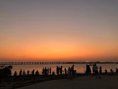 -宝安西湾红树林湿地公园