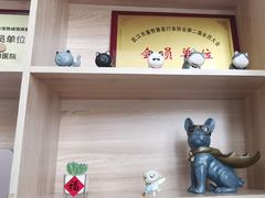 -希望动物医院(汉阳院)