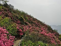 -木兰云雾山