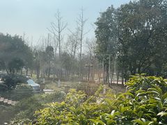-山水汇
