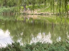 -马家湾湿地公园