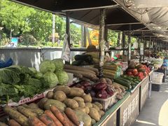 -万达广场(龙湖店)