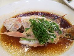 -东豪园林海鲜酒家(南港路辅路店)