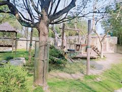 -上海野生动物园