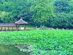 -龙头寺公园