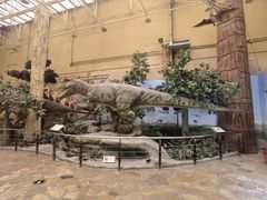 -国家自然博物馆