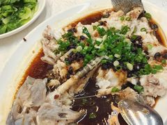 -顺德渔鲜酒家