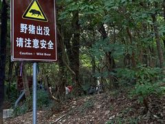 -紫金山山顶公园