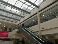 -上海中医药大学附属曙光医院(东部)