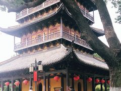 -常熟方塔园