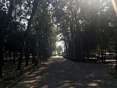 -北京大学(昌平校区)