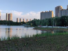 -仙女湖公园