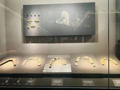 -青海藏文化博物院