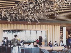 -Seesaw Coffee(朝阳大悦城店)