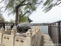 -颐和园