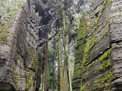 -梭布垭石林景区