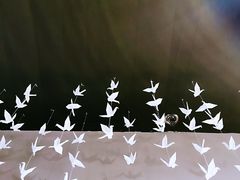-成都失恋馆
