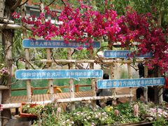 -河南宝泉旅游区