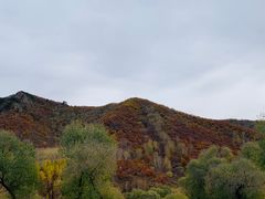 -御道口草原森林风景区