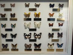 -上海昆虫博物馆