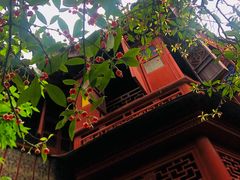 -东山雕花楼