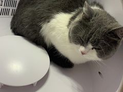 -熊小胖宠物生活馆(天华园店)