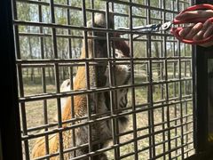 -哈尔滨北方森林动物园