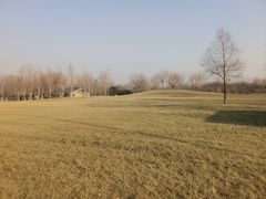 -塘沽森林公园