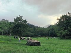 -田心森林公园