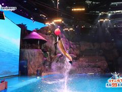 -芜湖新华联大白鲸海洋公园