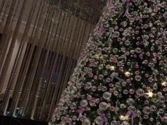 -四季酒店·空中花园 Aria on 9