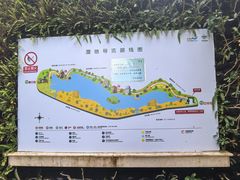 -华侨城湿地公园