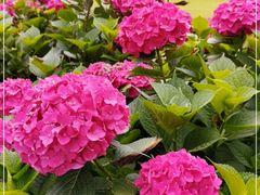 -南通博物苑-崇川人民公园