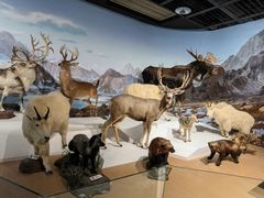 -陕西自然博物馆