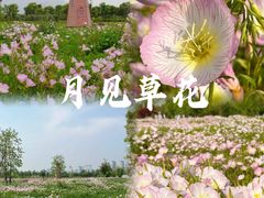 -三垟湿地