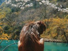 -山西通天峡景区