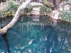 -蝴蝶泉公园