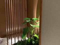-浅深(北京北四环精品店)